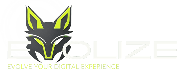 evolize_optimized-3.png
